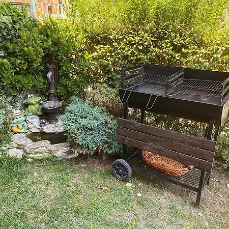 Apartment Con Giardino E Vista Sulla Valmalenco